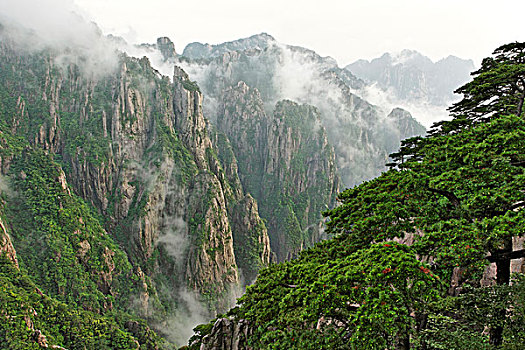 一喷就晕的药货到付款多少钱C1B8D97C5-18975